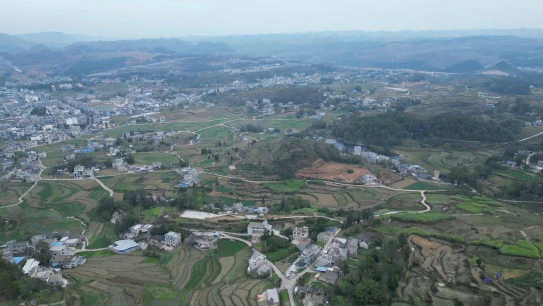 安龙县普坪镇新街居委会立足自身优势,着力念好"养牛经",多措并举壮大