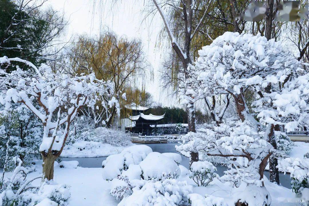 绿博园雪景新片来了,带你进入冰雪童话世界_白雪_园区_银装素裹
