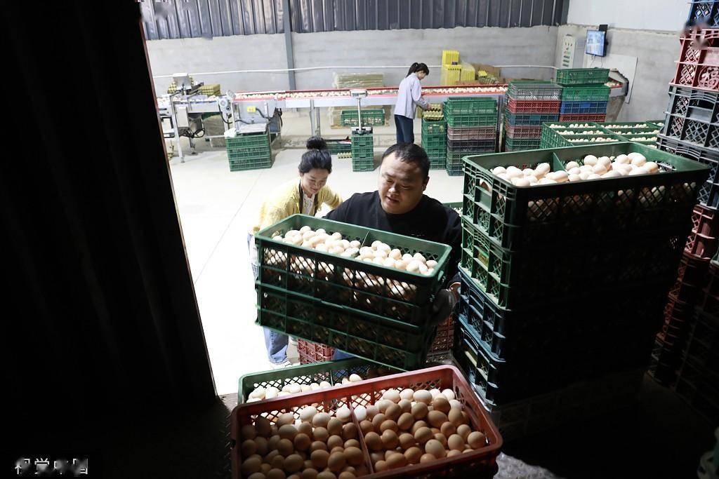 近年來,臨沂市蘭山區半程鎮一村莊利用當地政府提供的