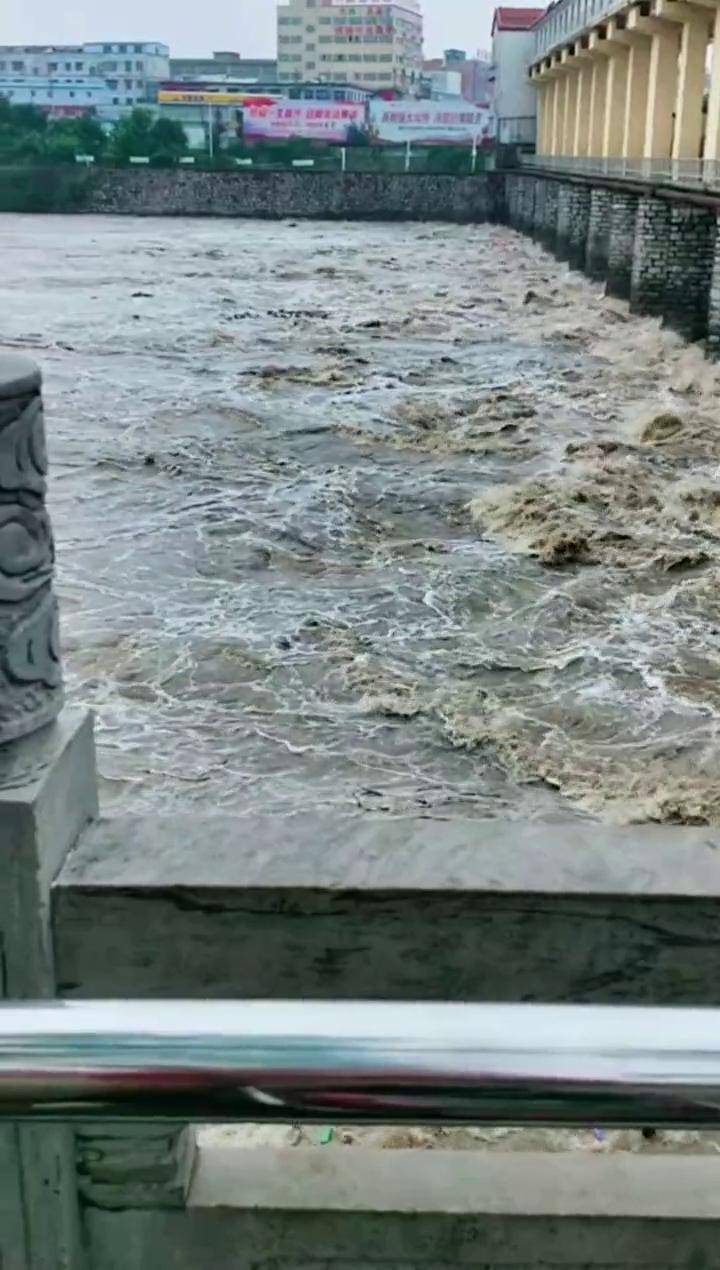 河南周口的水位不断上涨据说如果淹没大铁牛那是非常危险的沈丘的十八