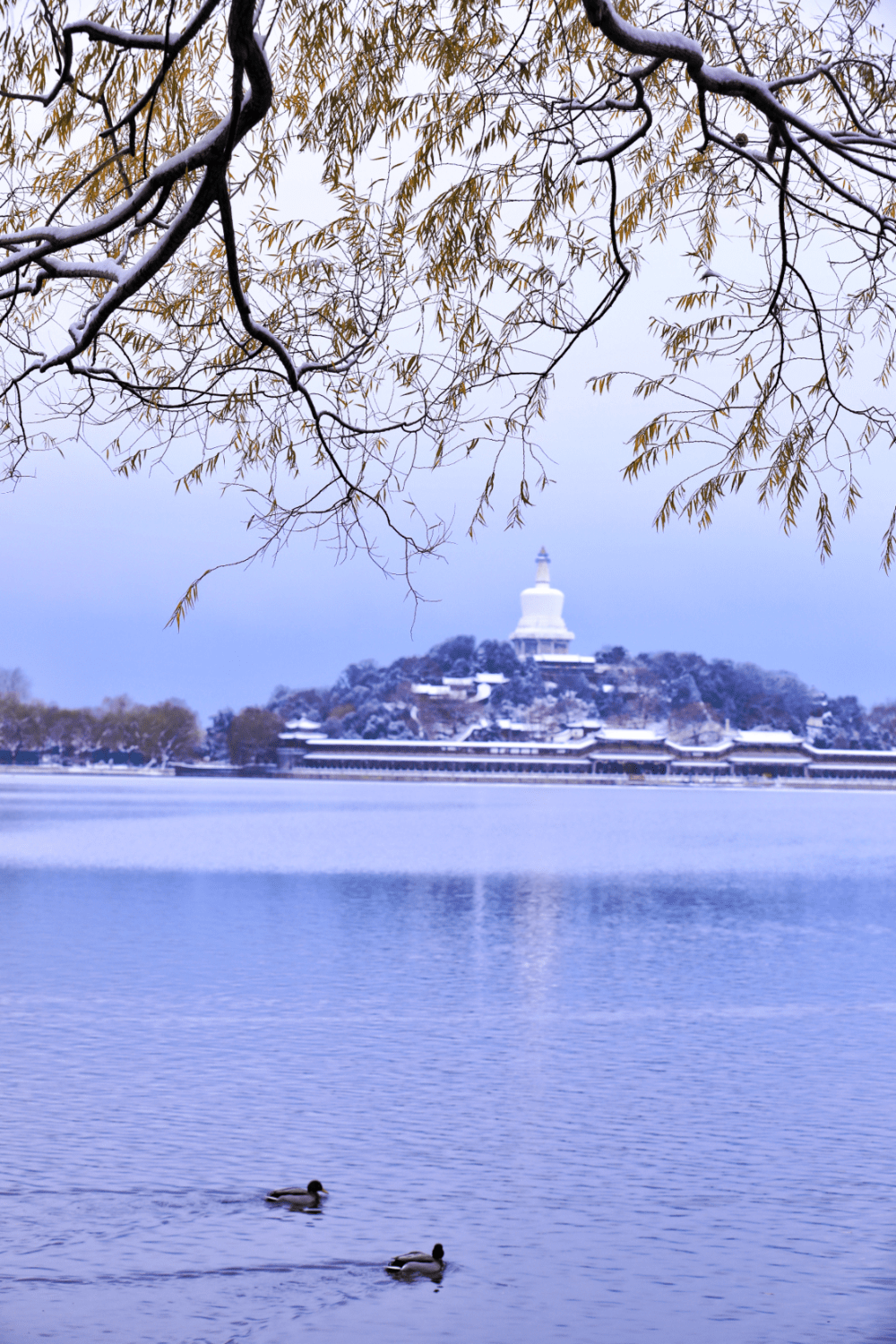 2022北京最美雪景图片