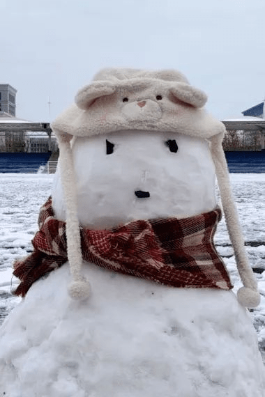 职业技术学院一群充满活力的大学生开始了他们的雪人制作之旅他们发挥
