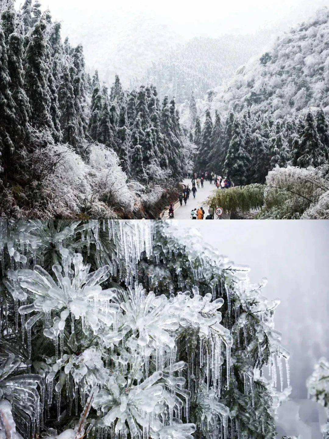 【冰雪云冰山1天团】打卡云海秘境南方雪乡雾凇雪凇雪景云海四大奇观
