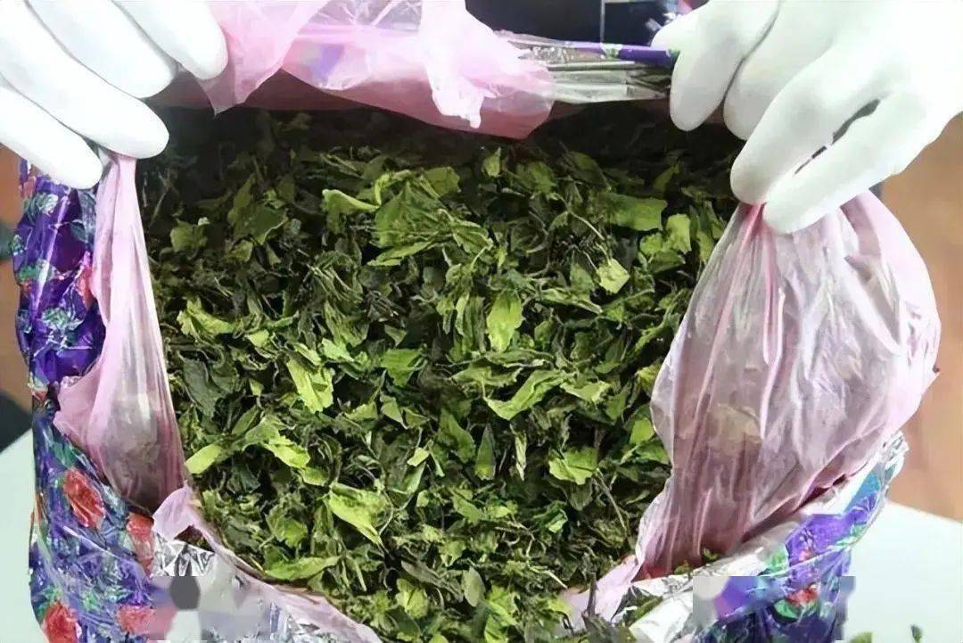 这些是披着"马甲"的新型毒品!_奶茶_是一种_禁毒