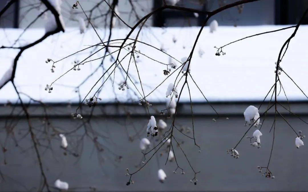 今天,与师大共赴冬雪!_snowing_雪景_图片