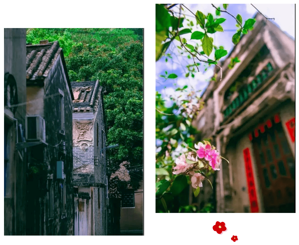 中山這條公交旅遊路線讓你玩得開心吃得盡興_遊客_公園_歷史感