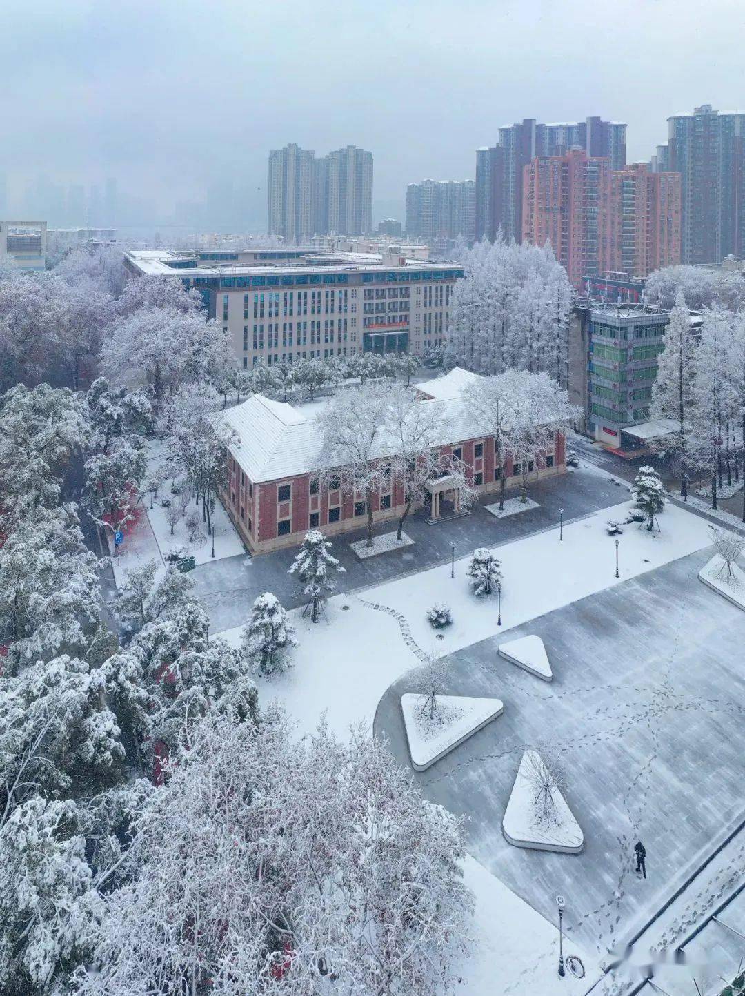 湖大下雪啦