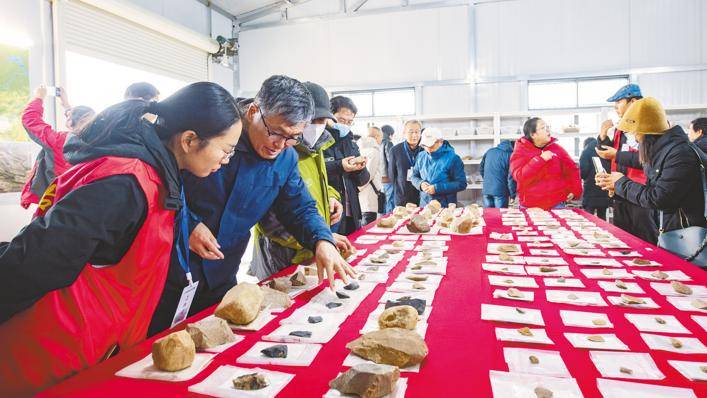 當陽九里崗發現萬年前小石器加工場_遺址_遺存_考古