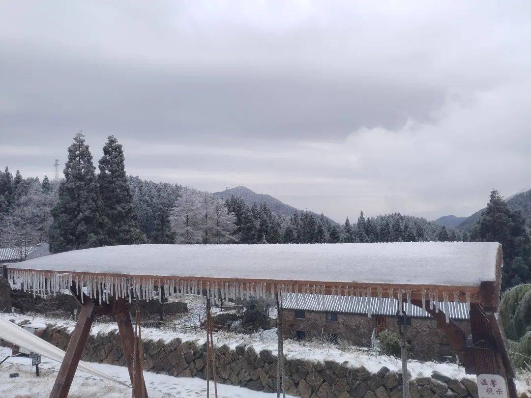 缙云大洋山景区部分地区出现积雪遂昌,缙云等地飘起雪花昨天深夜丽水