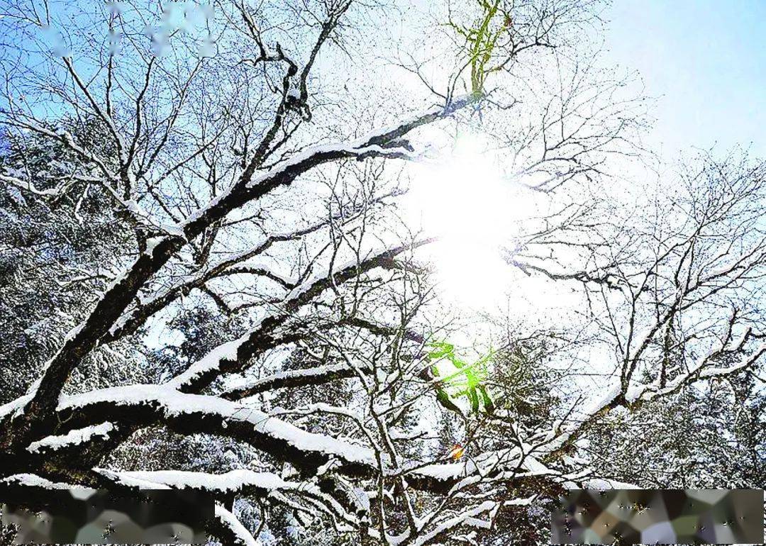 聆聽邛崍 | 記憶中 古城有一場雪_臨邛_城區_白雪