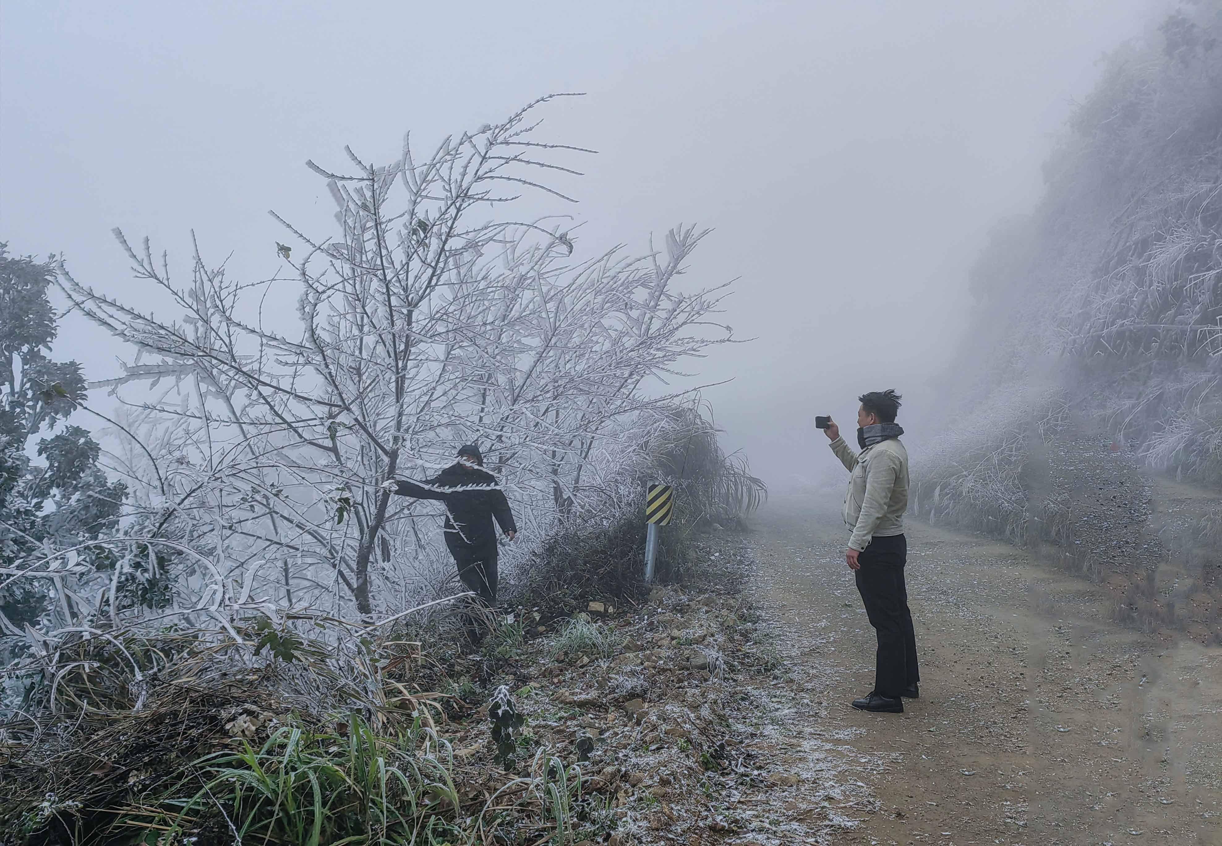 廣東晝夜溫差加大,農業種養,生活生產請注意防寒防凍