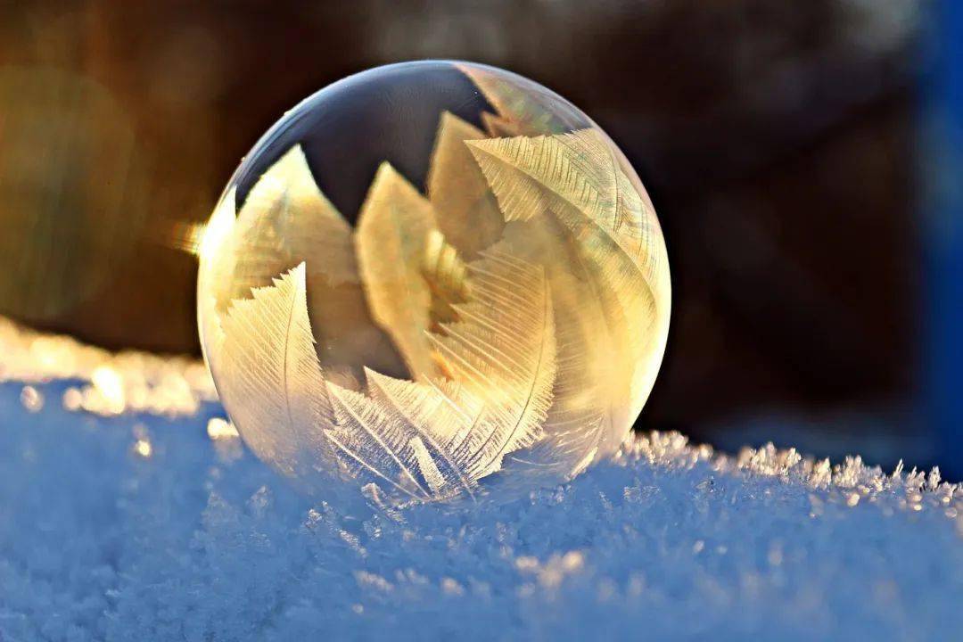 雪花_吉米_大雪