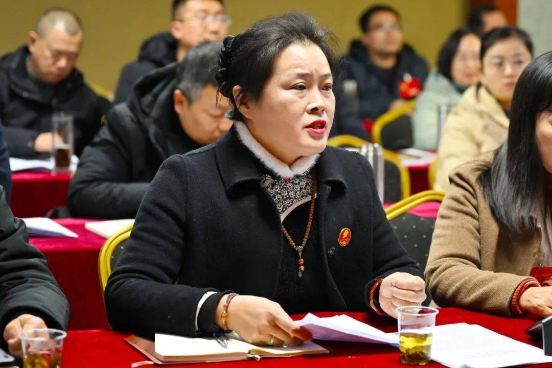 聚焦两会 | 姜皓参加区政协四届三次会议农业,科学技术,文化艺术和