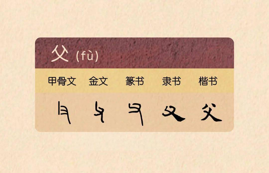 再来看"父"字的字形演变过程,书中列出了甲骨文,金文,篆书,隶书,楷书
