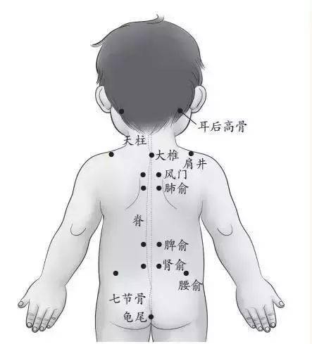 大椎准确位置图图片