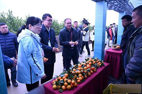 桂平市委常委,副市长吴定一在致辞中介绍,桂平市根据农业供给侧结构性