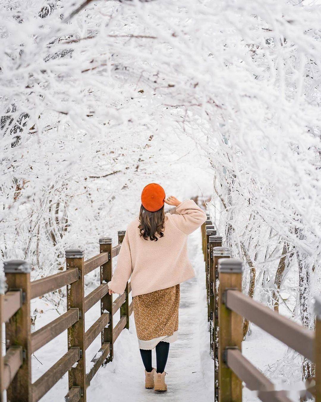 这12雪景拍照姿势,帮你冬天美丽起来,手机摄影用得上_照片_雪花_自然