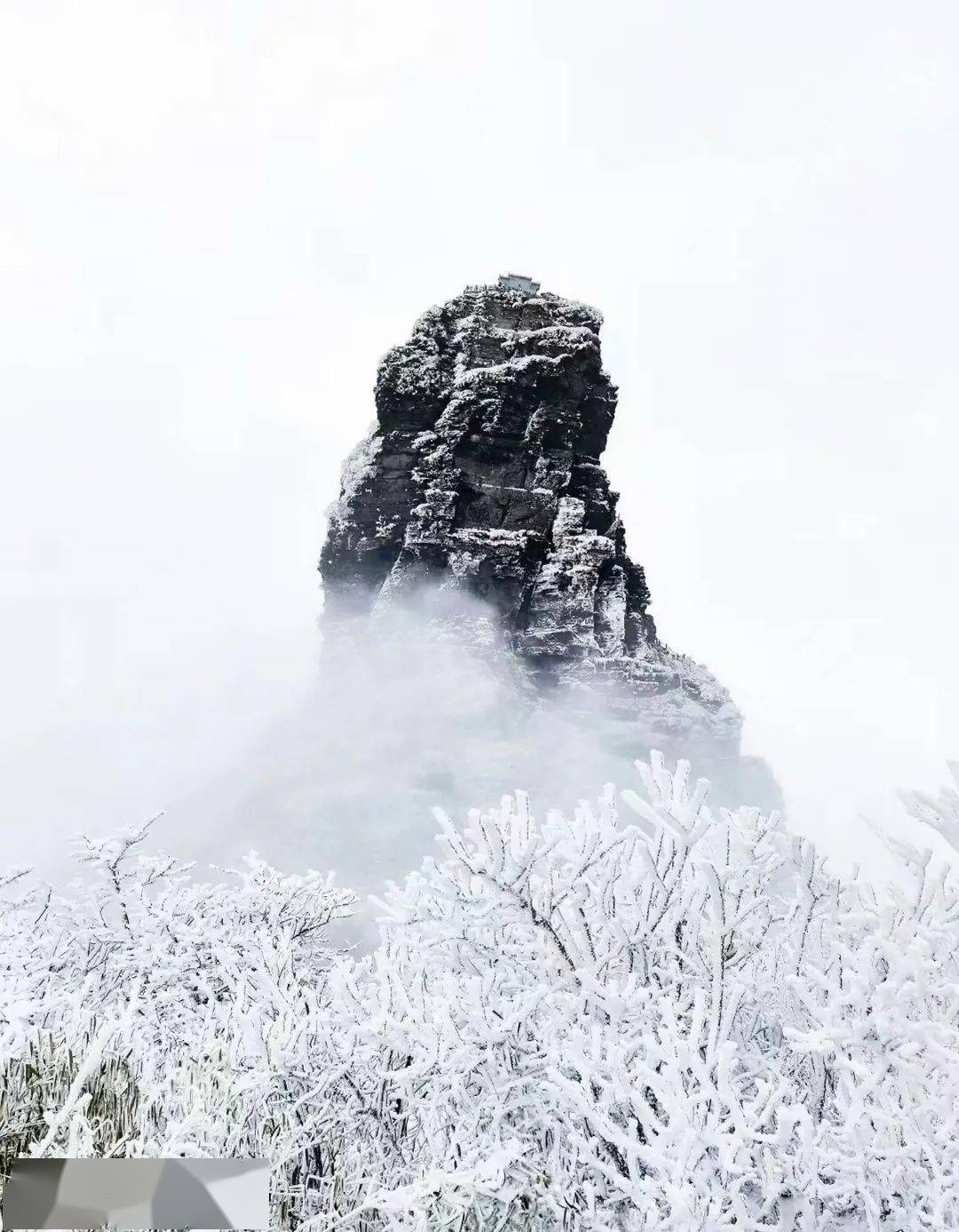 2020年梵净山雪景图片