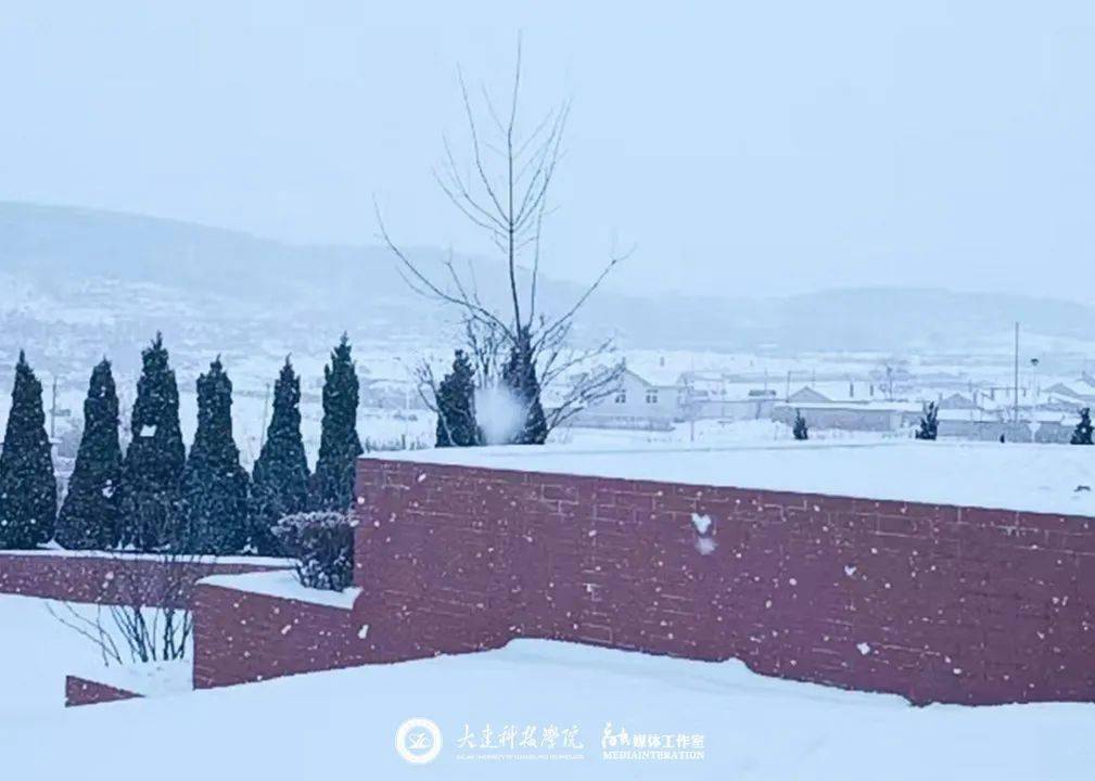 雪0505 雪 0505 雪 0505 雪 0505 雪 0505_声音