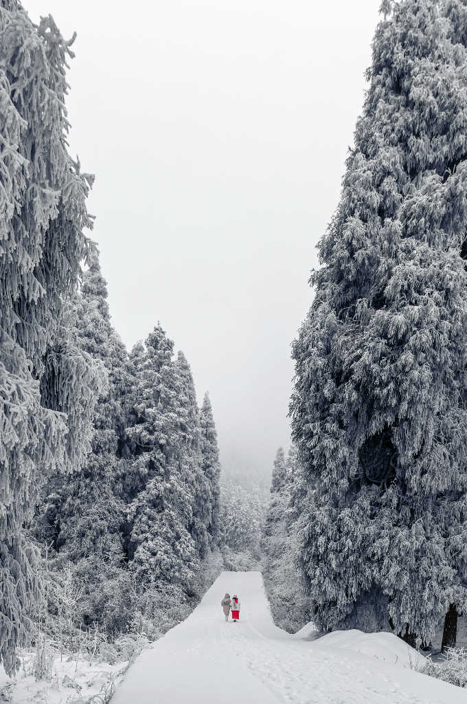 元旦假期:火车购票攻略,重庆周边赏雪指南→_时间_交通_车站