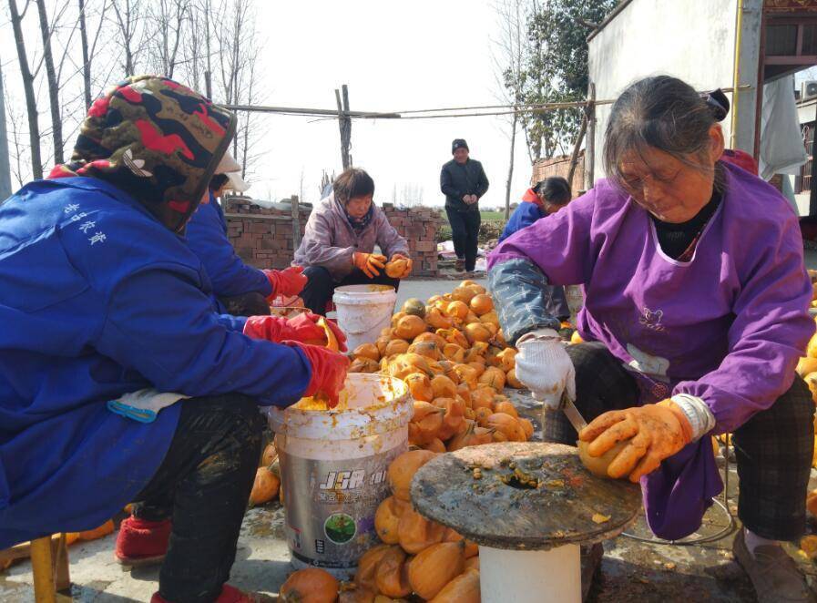 【乡村行 看振兴】项城贾岭镇王竹园行政村:让特色种植致富乡邻_李