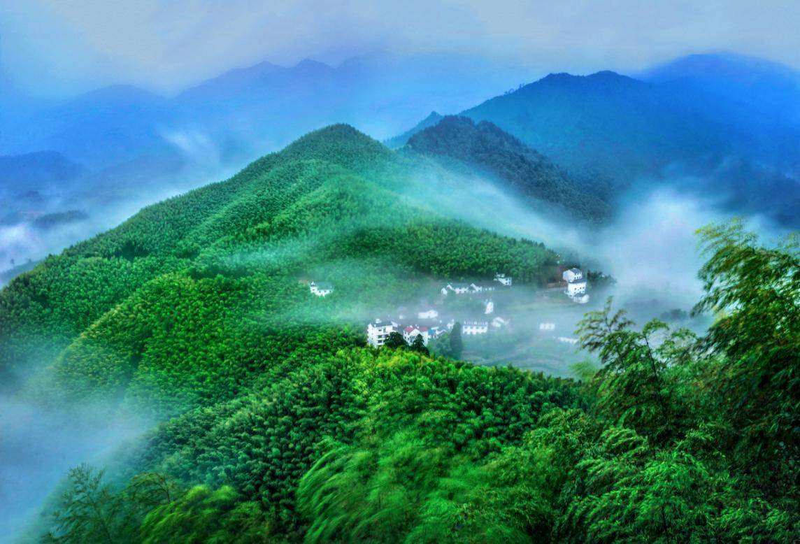 浙江龙泉:在绿水青山间探寻"共富密码"