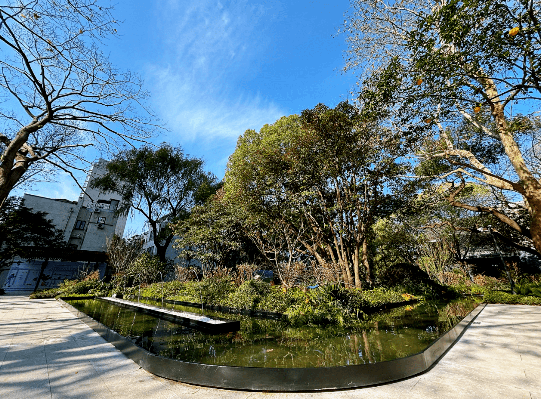 静安这处绿地正式开放,变身主题花园!来看实景图