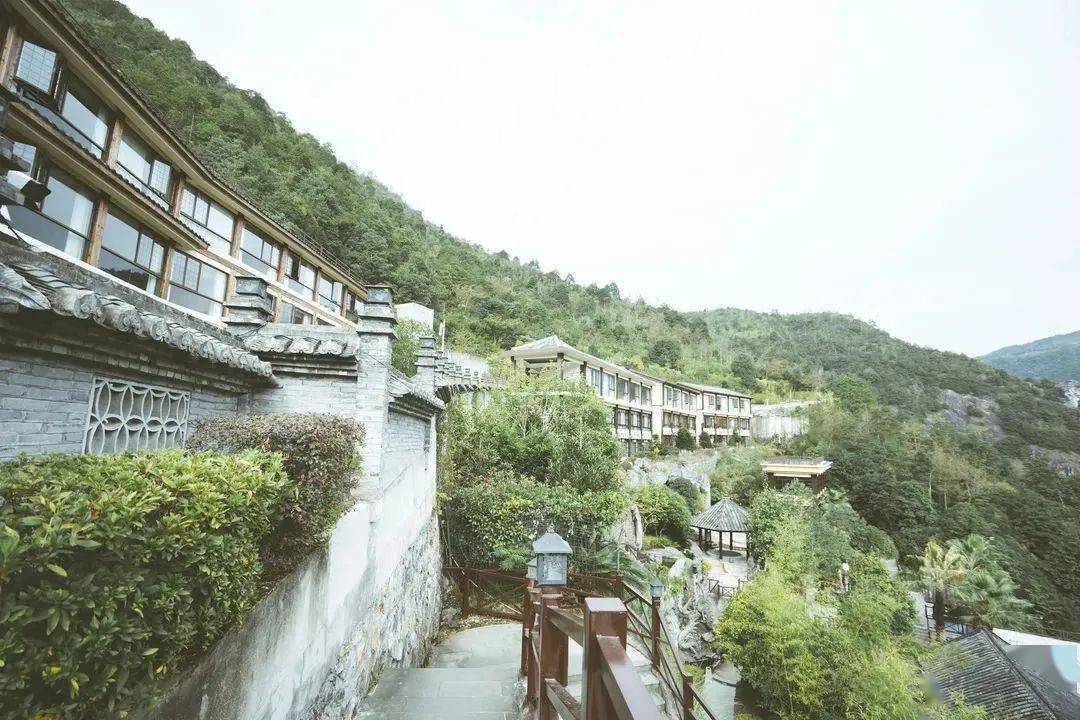 泰顺这个小镇有啥特色?_氡泉_度假_温泉