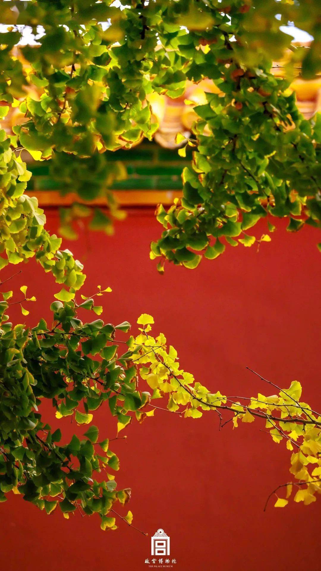 故宫是真懂中式审美啊!_照片_建筑_红墙
