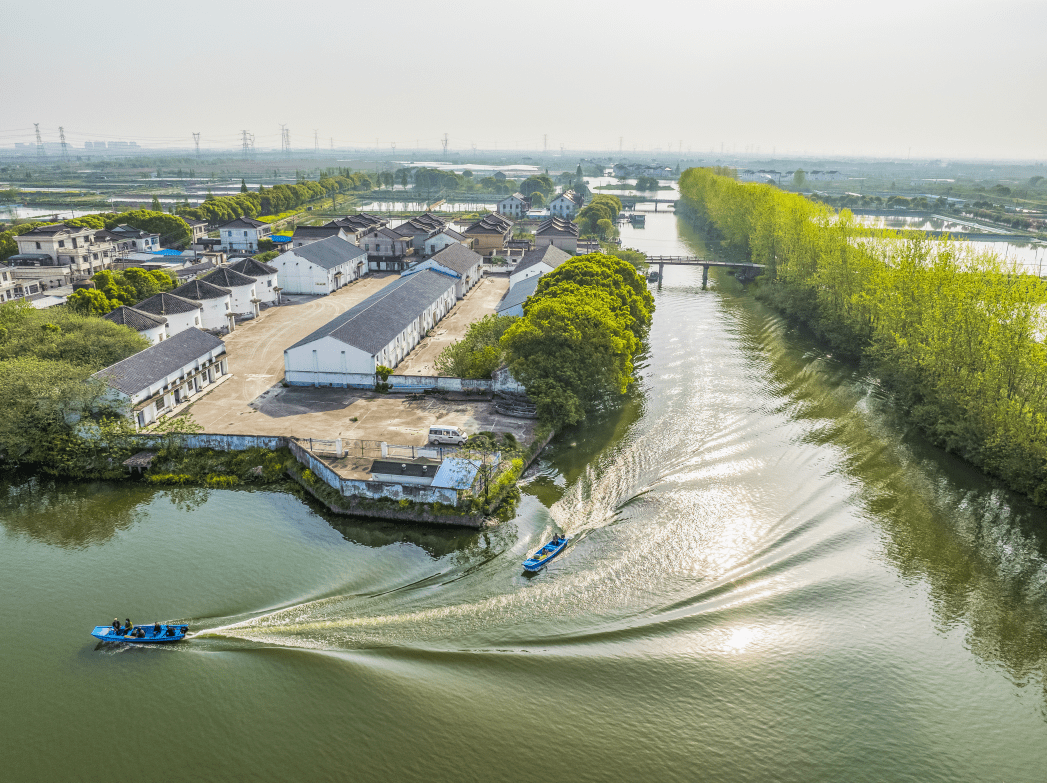 消泾老街的故事,总是从这里说起_阳澄湖镇_沈菊英_抗日