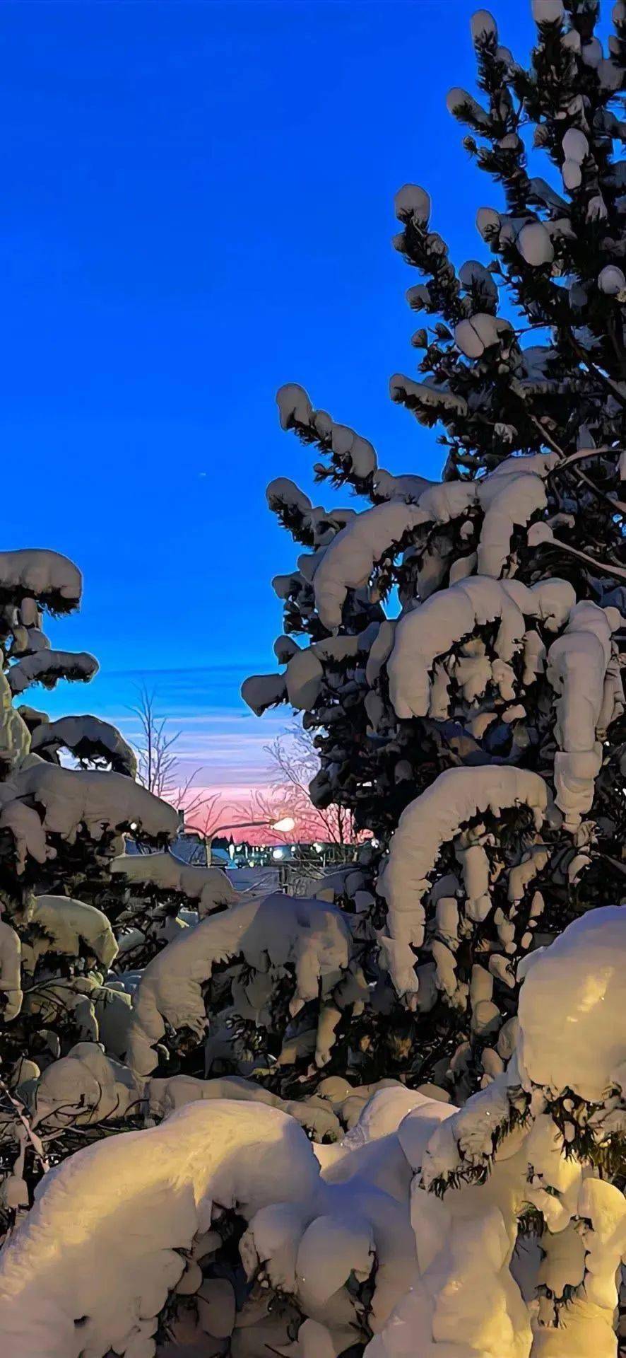 壁纸| 冬天快乐下雪壁纸 676767