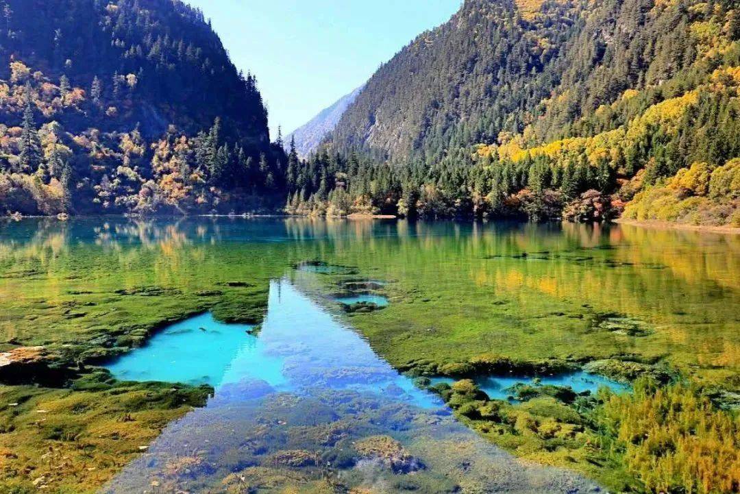 一天一县(市)—九寨沟县_保护_南坪县_扶州