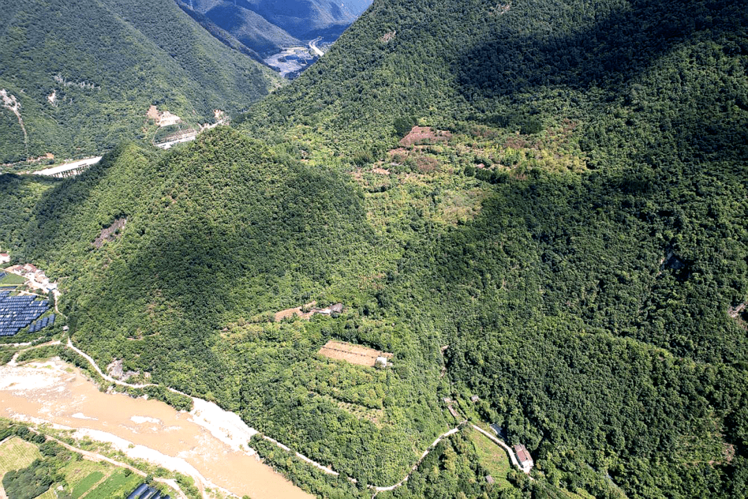 江口镇:发展林下经济 盘活资源"金库"_种植_中药材_留坝县