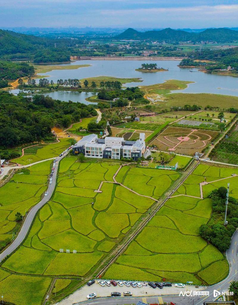 惠阳区良井镇黄洞村:盘活资源,壮大村集体经济收入