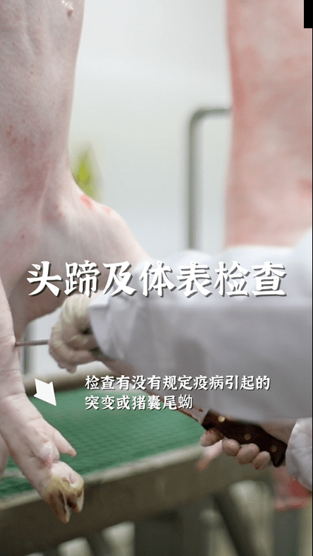 瘦肉精,豬瘟,結核病……不合格的統統拿下!這些獨家