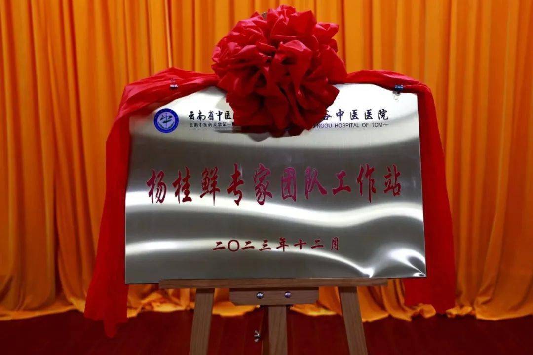 【卫生健康】云南省中医医院肾病科杨桂鲜专家团队工作站落户景谷中医