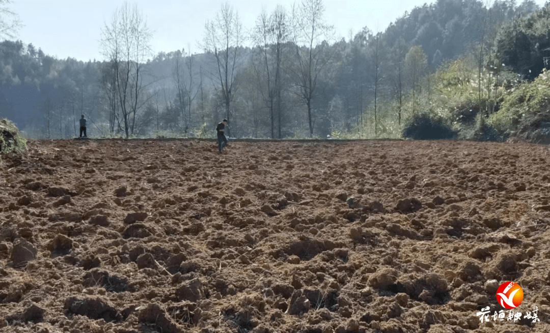 補抽鄉:狠抓違法圖斑整改,推進耕地保護