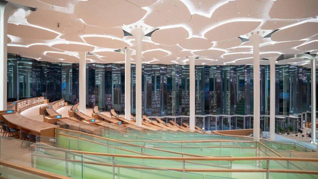 中铁建工丨聚焦三大文化建筑之"森林书苑"北京城市图书馆_书库_阅览区
