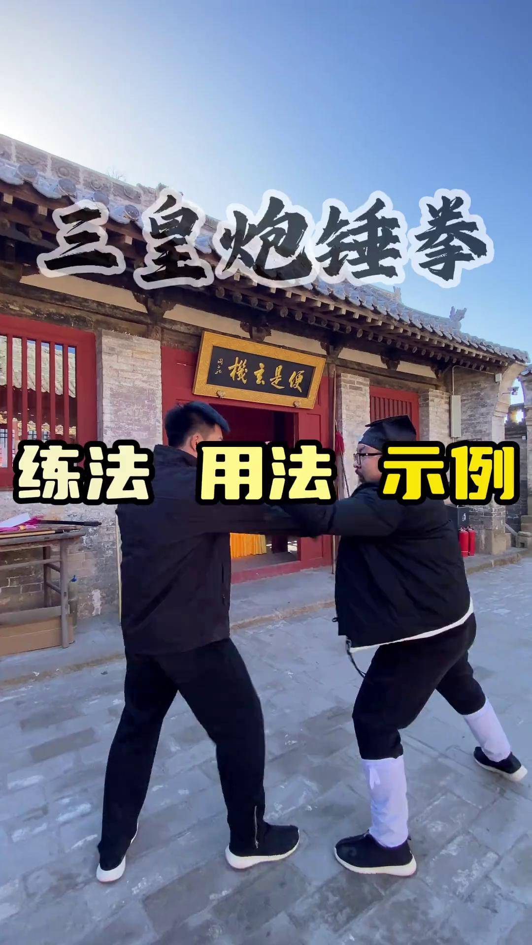 "三皇炮锤拳 传统武术 内家拳 阎子龙