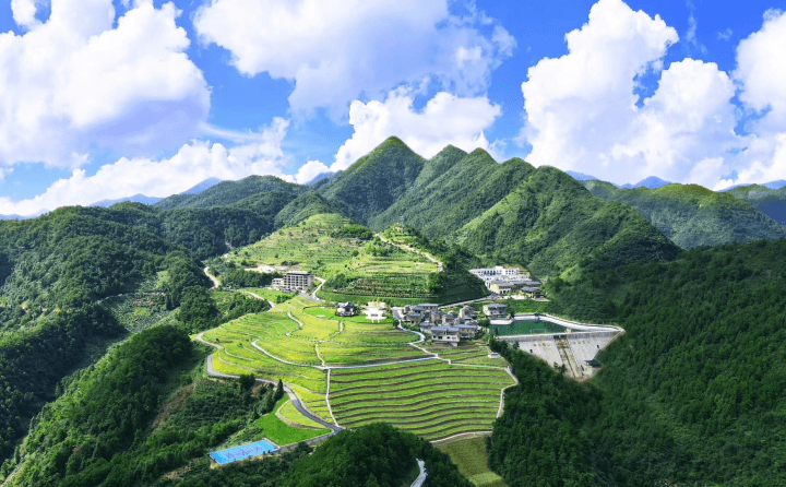 圍爐胡家坪 讀懂濱江