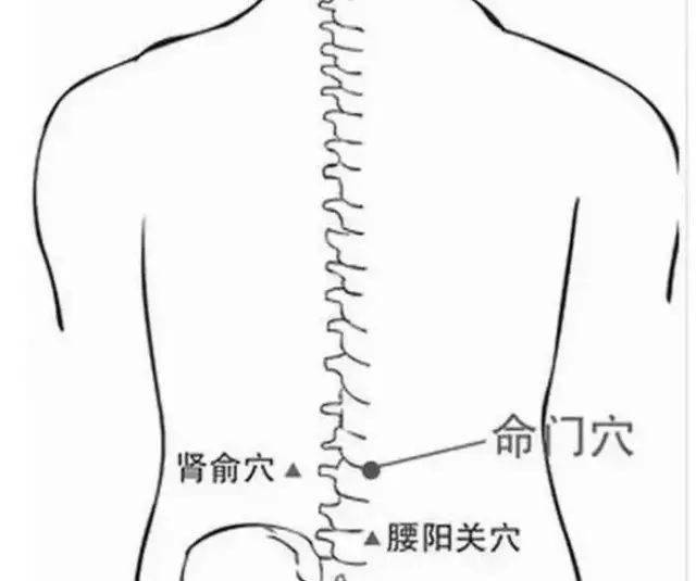 身體_溼氣_穴位