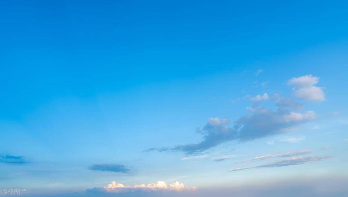 說說我的鳥友 | 作者 徐增仁_鳥籠_夏工長_什麼