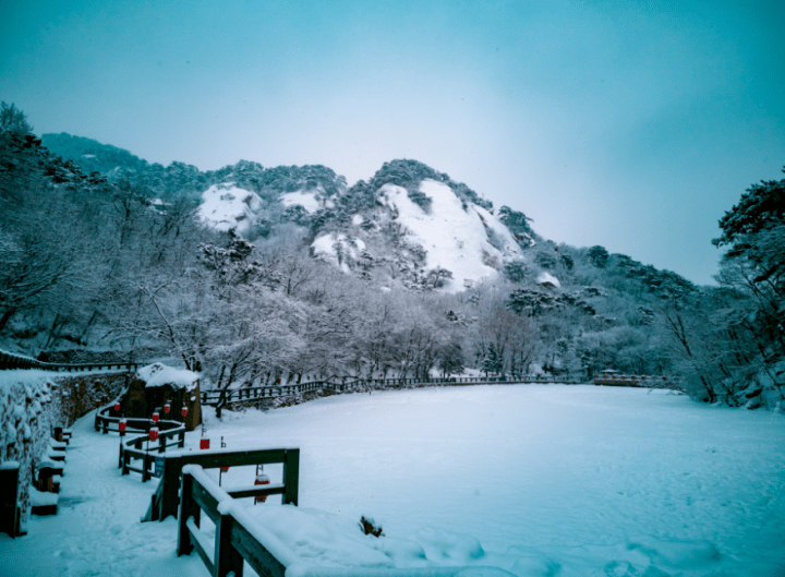 冬季到鞍山来看雪 看到千山美图 坐不住了吧