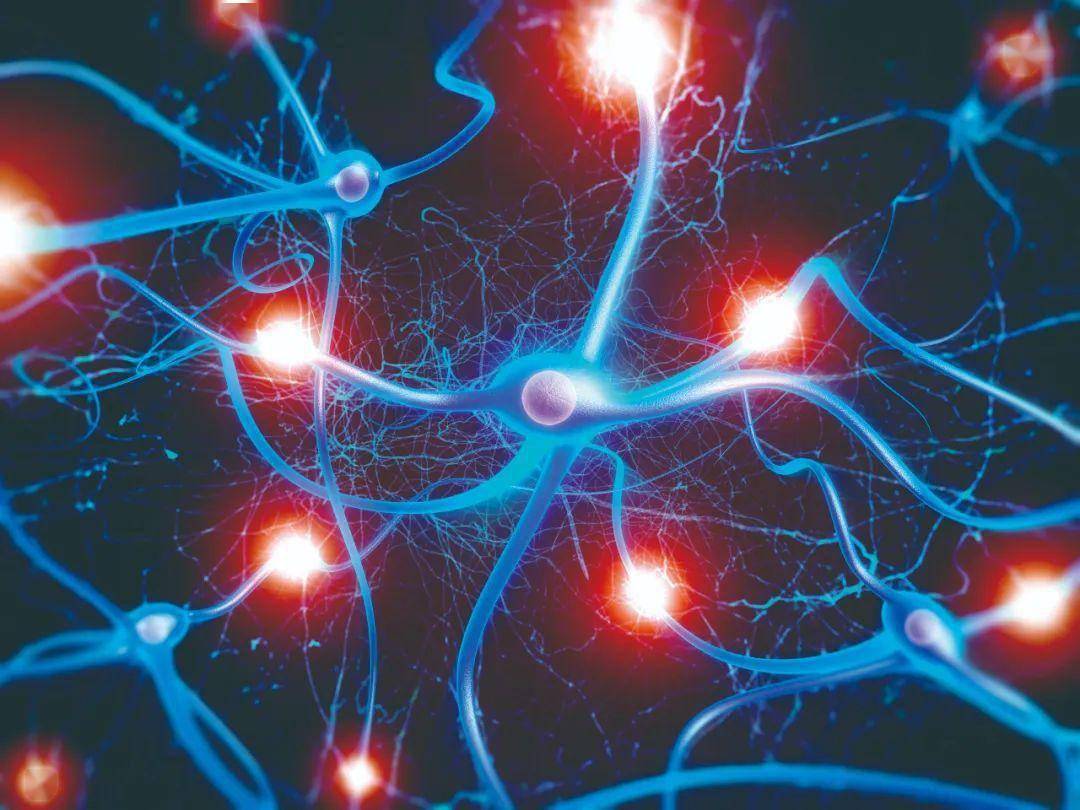 记忆力_神经元_颜色