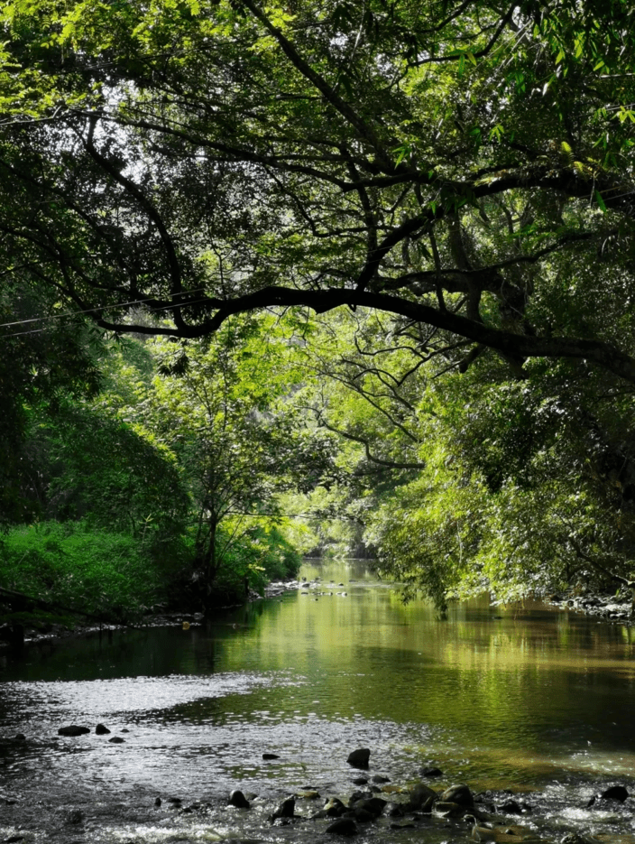 牛欄前村,曲江區楓灣鎮竹子壩,曲江區樟市鎮都陂村,始興深渡水魚鱗壩