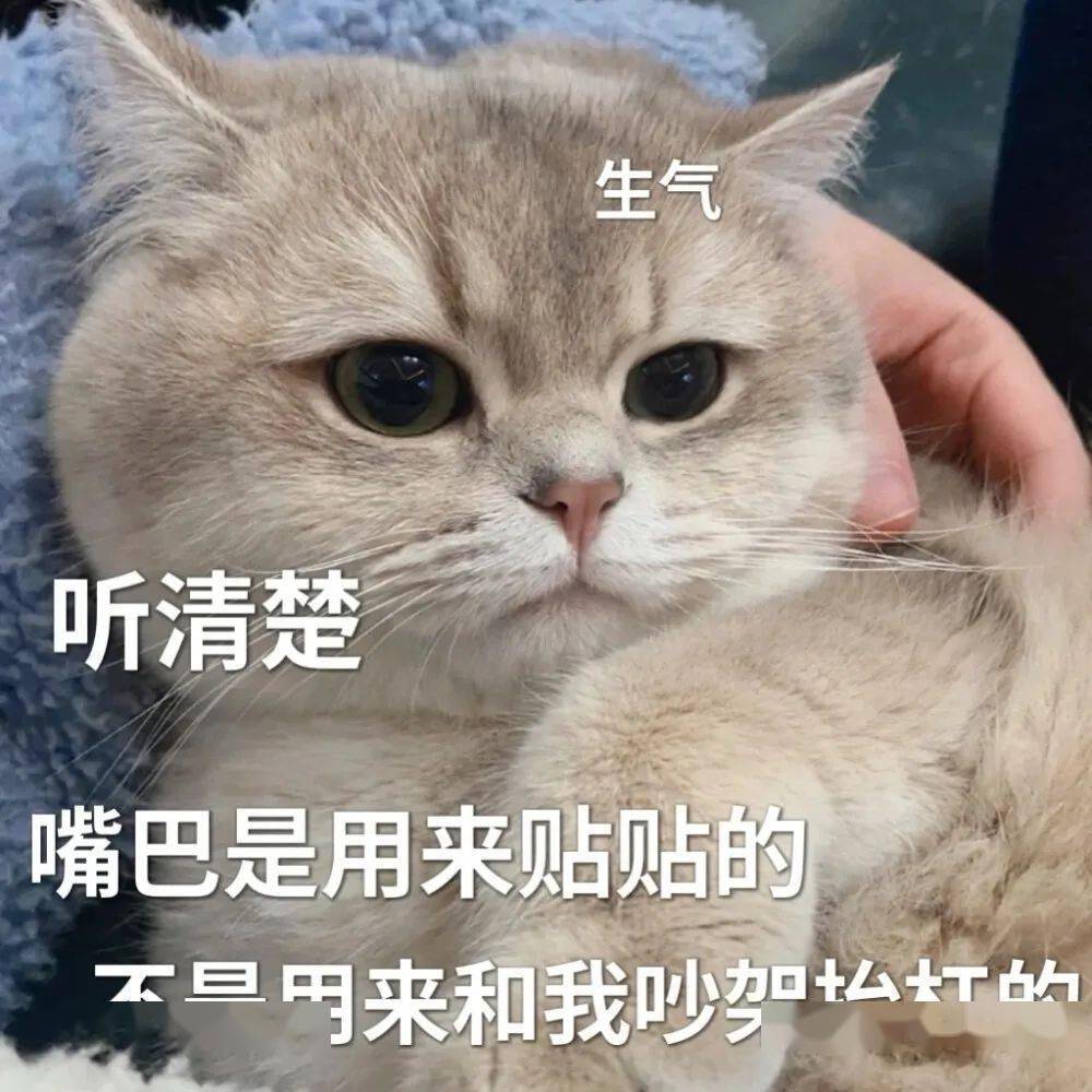 超撩人的猫咪情侣表情包 勾引到我了