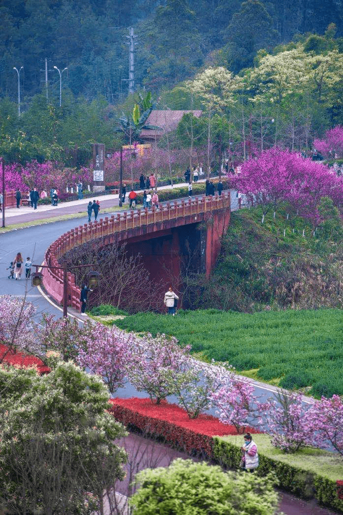 嘉州綠心公園no.1逛一個公園主打一個讓你省錢省力還能嗨玩什麼都有!