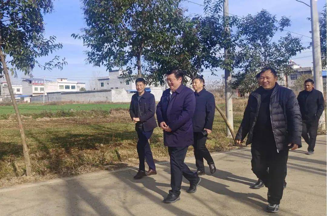 流金岁月 一路生花——从光影中回眸桐柏安棚2023_活动_组织_调研