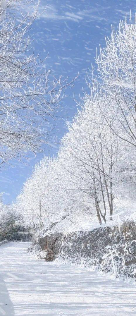 快來北川九皇山開啟趣味冰雪之旅吧!_滑雪場_雪地_景區