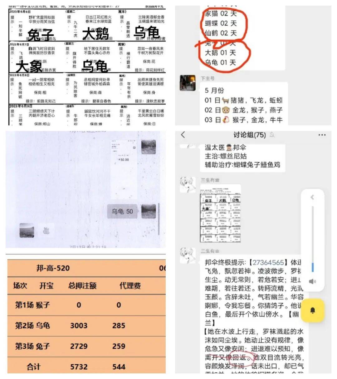 2023年6月,巍山县公安局南诏派出所在工作中发现,缅甸"邦伞字花"赌场